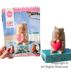 SET DE PLACA x 2 CAPIBARA CORAZON x 1